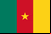 Bandeira de Camarões