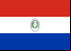 Bandeira do Paraguai, Jornais Paraguaios